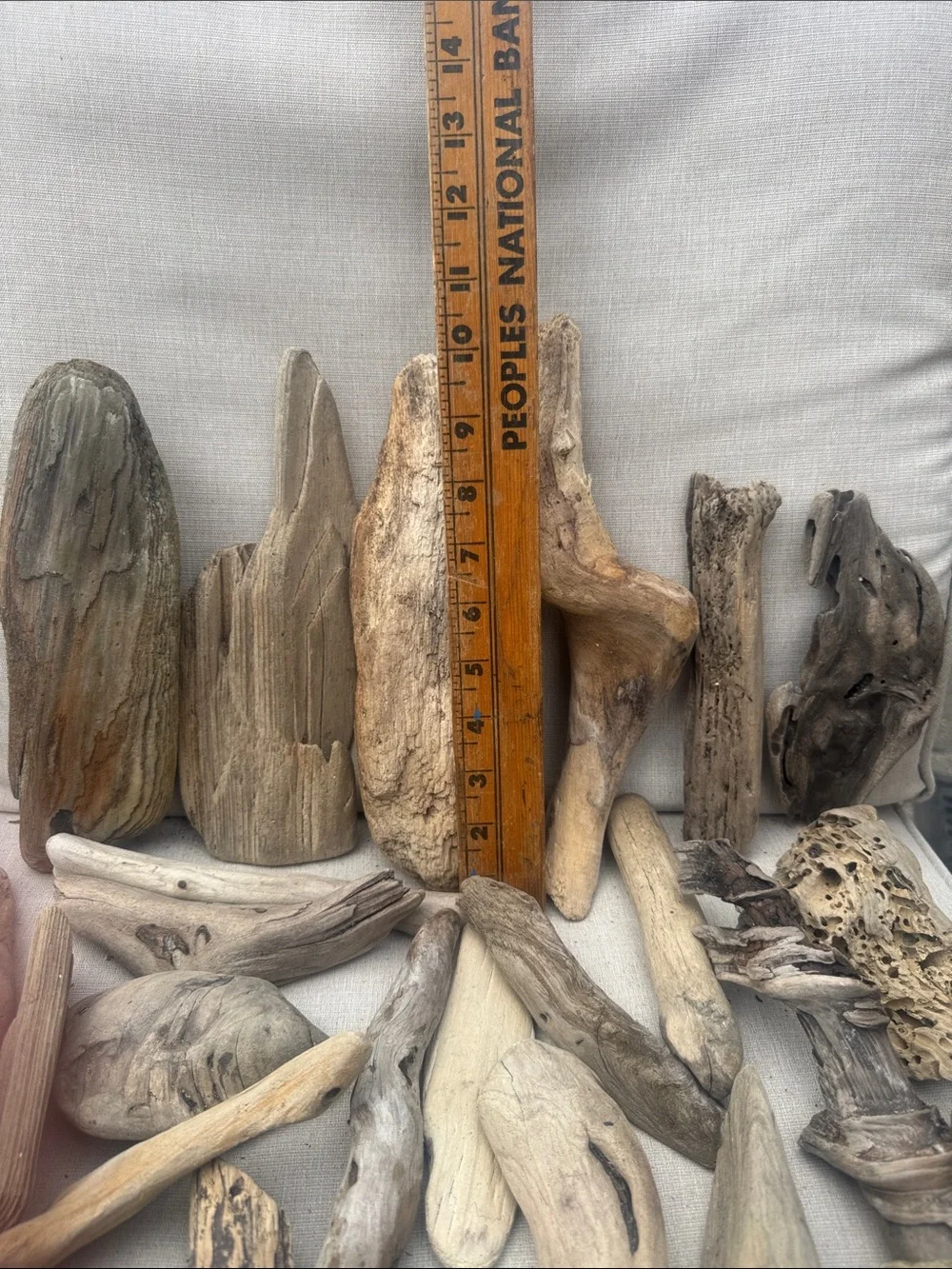 34 Pc (5lbs shipped) Box of beach Natural Driftwood Pieces for craft or decor